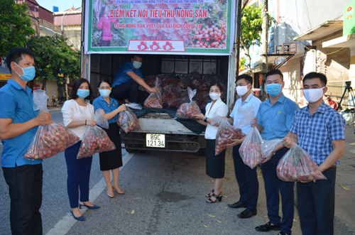 Liên đoàn lao động tỉnh: Hỗ trợ tiêu thụ hơn 40 tấn vải thiều giúp nông dân tỉnh Bắc Giang