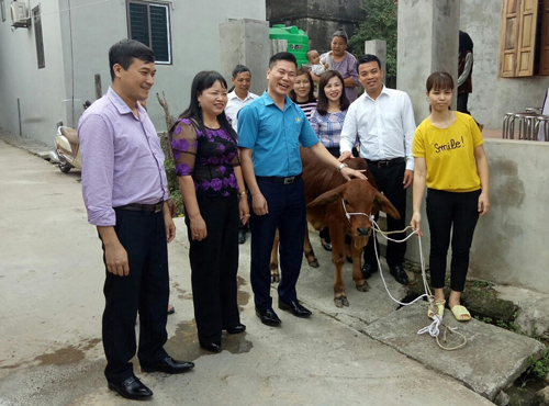 Liên đoàn Lao động tỉnh: Tặng bê sinh sản cho hộ nông dân nghèo